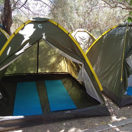 Camping Koula Páros Dış mekan fotoğraf
