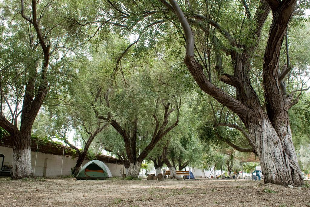 Camping Koula Páros Oda fotoğraf
